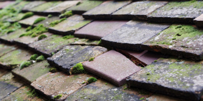 Turvey roof repair costs
